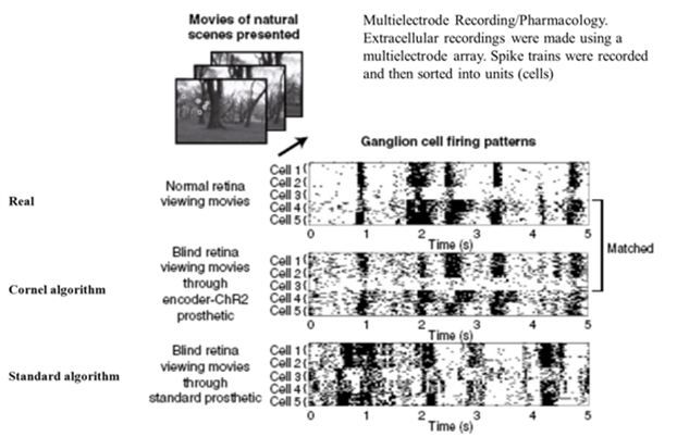 Hot topics in ophthalmology 2020 image